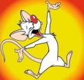 Avatar de l’utilisateur